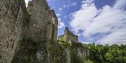 Chepstow Castle