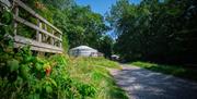 Hidden Valley Yurts