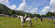 Llanthony Show