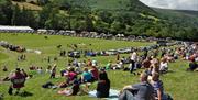 Llanthony Show