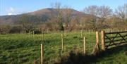 Abergavenny Community Orchard