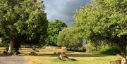 Abergavenny castle grounds