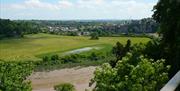 Piercefield Views