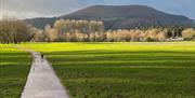 View to the Blorenge