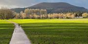 View to the Blorenge