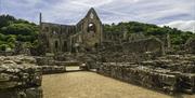 Tintern Abbey