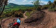 Black Mountains Cycle Centre