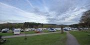 Bracelands campsite, grass and woodlands with green trees and caravans