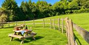 Holiday cottage in green countryside in garden with picnic table