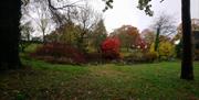 Bryngwyn Manor Autumn