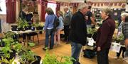 Busy Catbrook Plant sale 2022