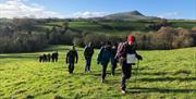 Walking near Llandewi Skirrid