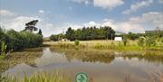 Camping Pond View