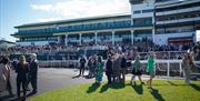 Chepstow Racecourse