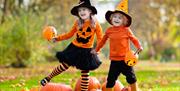 Children holding pumpkins in field