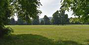 Chippenham fields in monmouth showing open park with green grass, mature beautiful trees and sunny day