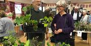 Customers from Tintern at Catbrook Jubilee plant sale
