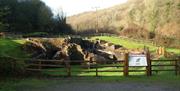 Abbey Tintern Furnace