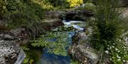 Dewstow Gardens & Grottoes