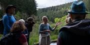 Garden Tours with Sue