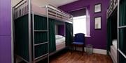 GreenMan Backpackers Bunks