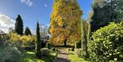 Highfields Farm Garden with mature trees and path