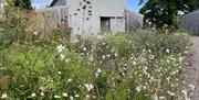 Highfields Farm Garden with rich planting and beautiful design in rural Monmouthshire near abergavenny