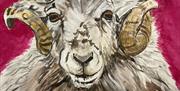 Image of Welsh Mountain Sheep that we will be painting