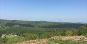 View from Gray Hill, Wentwood