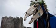 Mari Lwyd