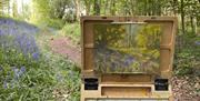 Artist Louise Collis art work in bluebell woods on easel with paints