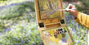 artist painting in woodlands with bluebells in background