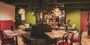The Garden Kitchen By Pugh's restaurant room cosy and modern with tree in middle of room
