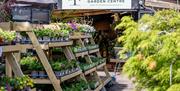 Millbrook Garden Centre with plants