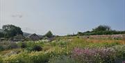 A vibrant flower farm in full bloom, filled with colorful wildflowers and lush greenery under a clear blue sky. Stone barns and garden structures sit