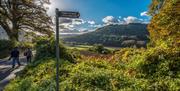 Bigsweir Bridge from Offa's Dyke