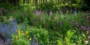 Nant Y Bedd Garden
