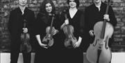 4 musicians against a wall with instruments