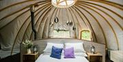Penhein Glamping