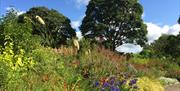 Round Garden September border