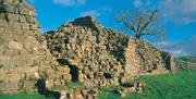 Caerwent Roman Town