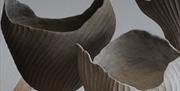 Weekly Clay Classes