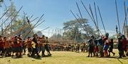 Sealed Knot Battle picture