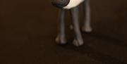Shaun The Sheep