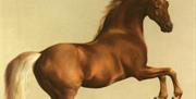 George Stubbs, Whistlejacket (National gallery)