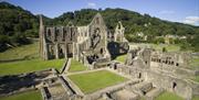 Tintern Abbey