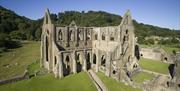 Tintern Abbey