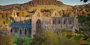 Tintern Abbey