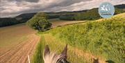 horse in a field taken from horse back looking between horses ears in monmouthshire landscape
