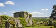 Usk Castle